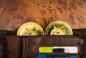 Dogecoin’s $70 Billion Shedding Shows Every Rise has a fall