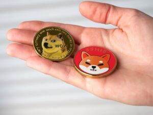 Dogecoin and Shiba Inu No Longer in Top 10 List – Meme Coin Rage Fades