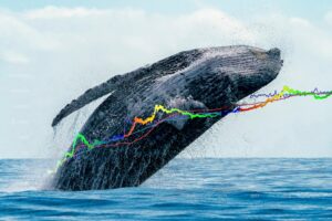 CHZ Gains 27% Over Last Seven Days; Whales Are Preferring Green 'Chiliz'
