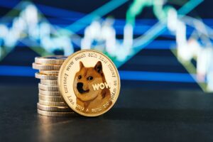 Warum ist der Preis von Dogecoin im August um 12 Prozent gefallen?