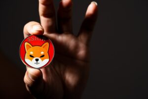SHIB Can Be Used On Amazon For Purchases, Bitpay Makes It Happen
