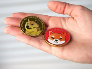 Dogecoin And Shiba Inu Are Among Top Moves In Latest Trading Sessions
