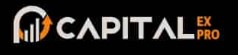 Capitalex Pro logo